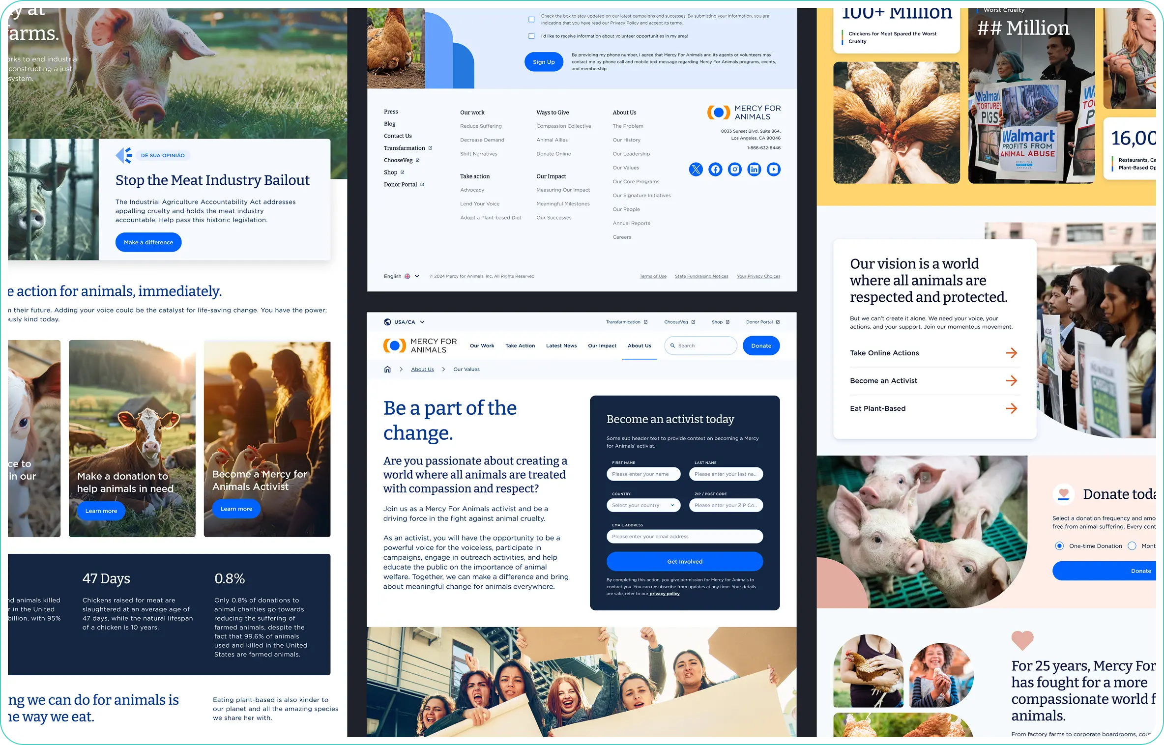 Visual Design