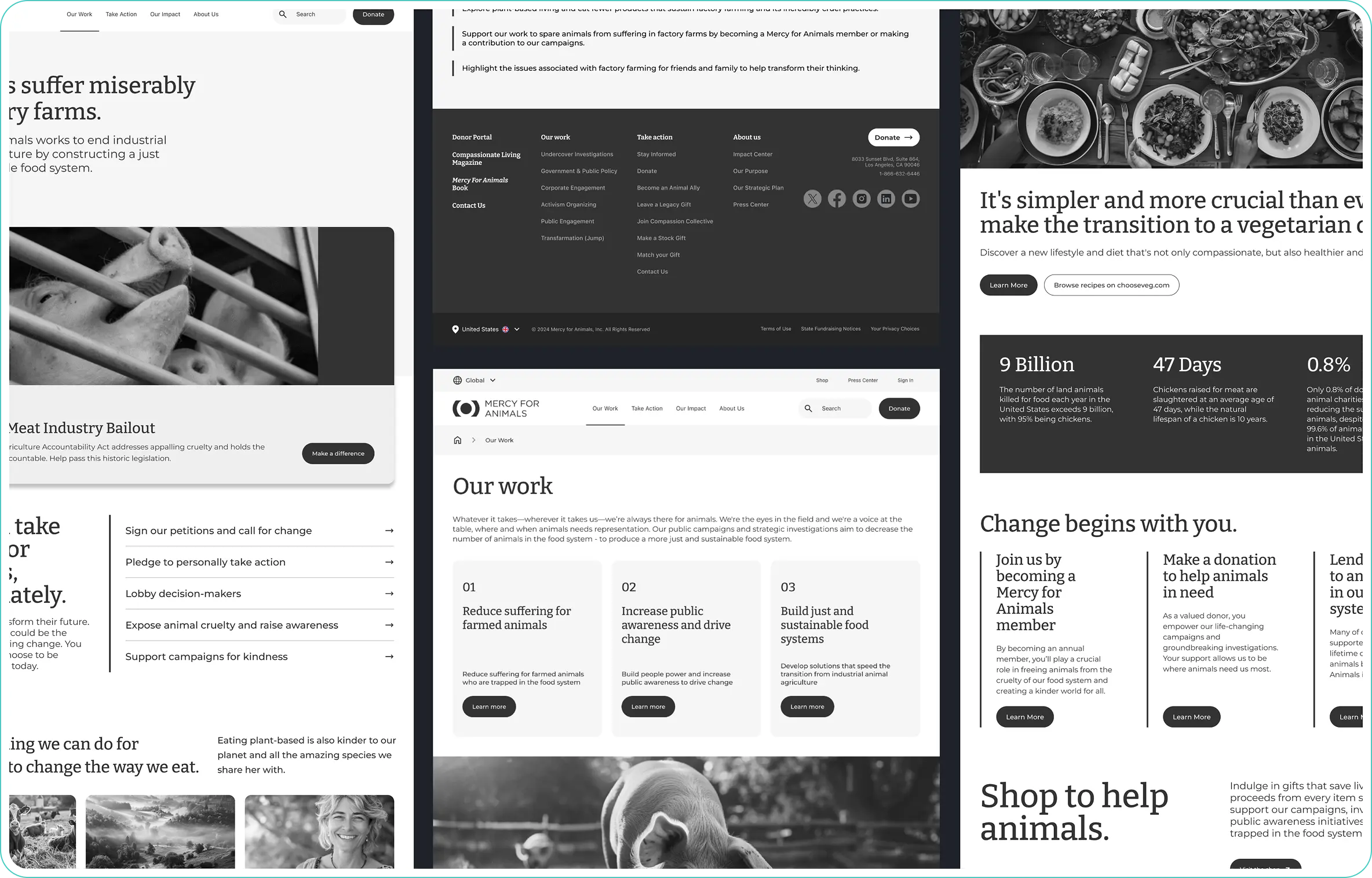 Wireframes
