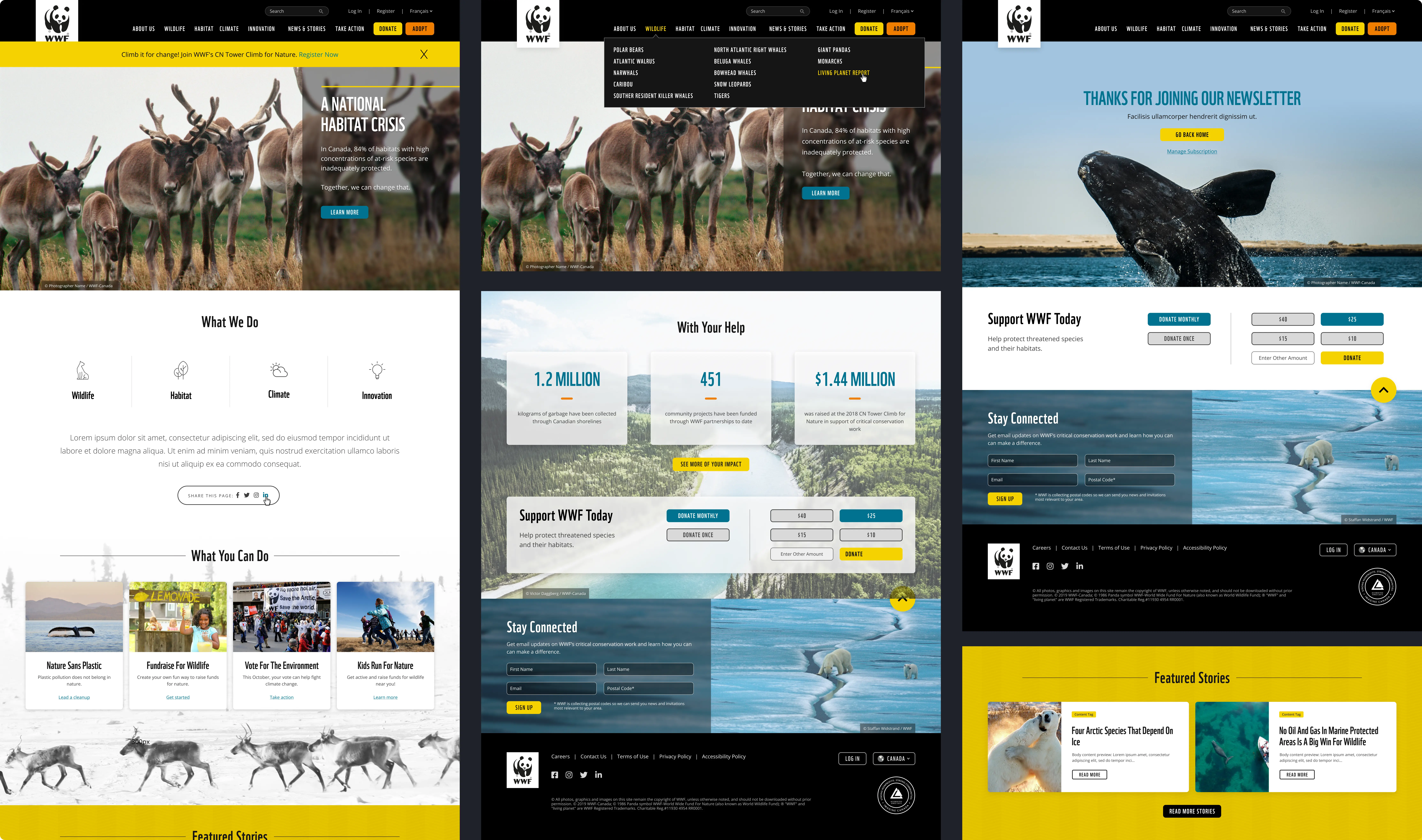 Wireframes